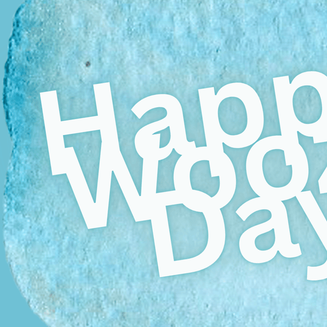 Foto terbaru SEVENTEEN