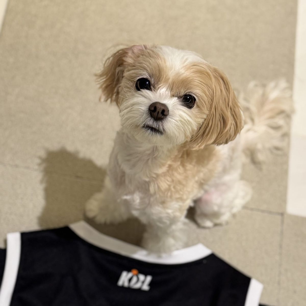 Foto terbaru Chanyeol (EXO)