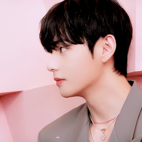 뷔 (방탄소년단) 팬이 찍은 순간