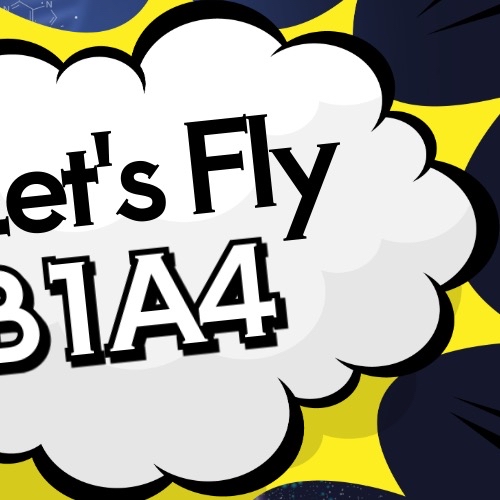 Recent activity shot of B1A4
