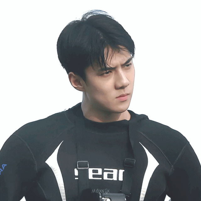 Recent activity shot of Sehun (EXO)