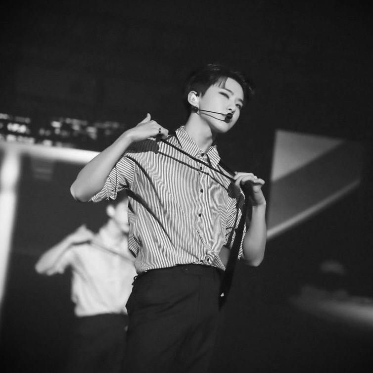 ホシ (SEVENTEEN)ファンが撮った瞬間