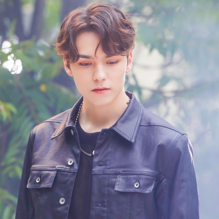 A moment captured by Vernon (SEVENTEEN)'s fan