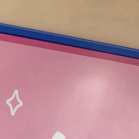 レイ (IVE)ファンが撮った瞬間