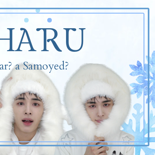 A moment captured by Haru (NEXZ)'s fan