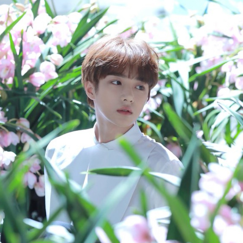 ボムギュ (TOMORROW X TOGETHER)の舞台裏ショット