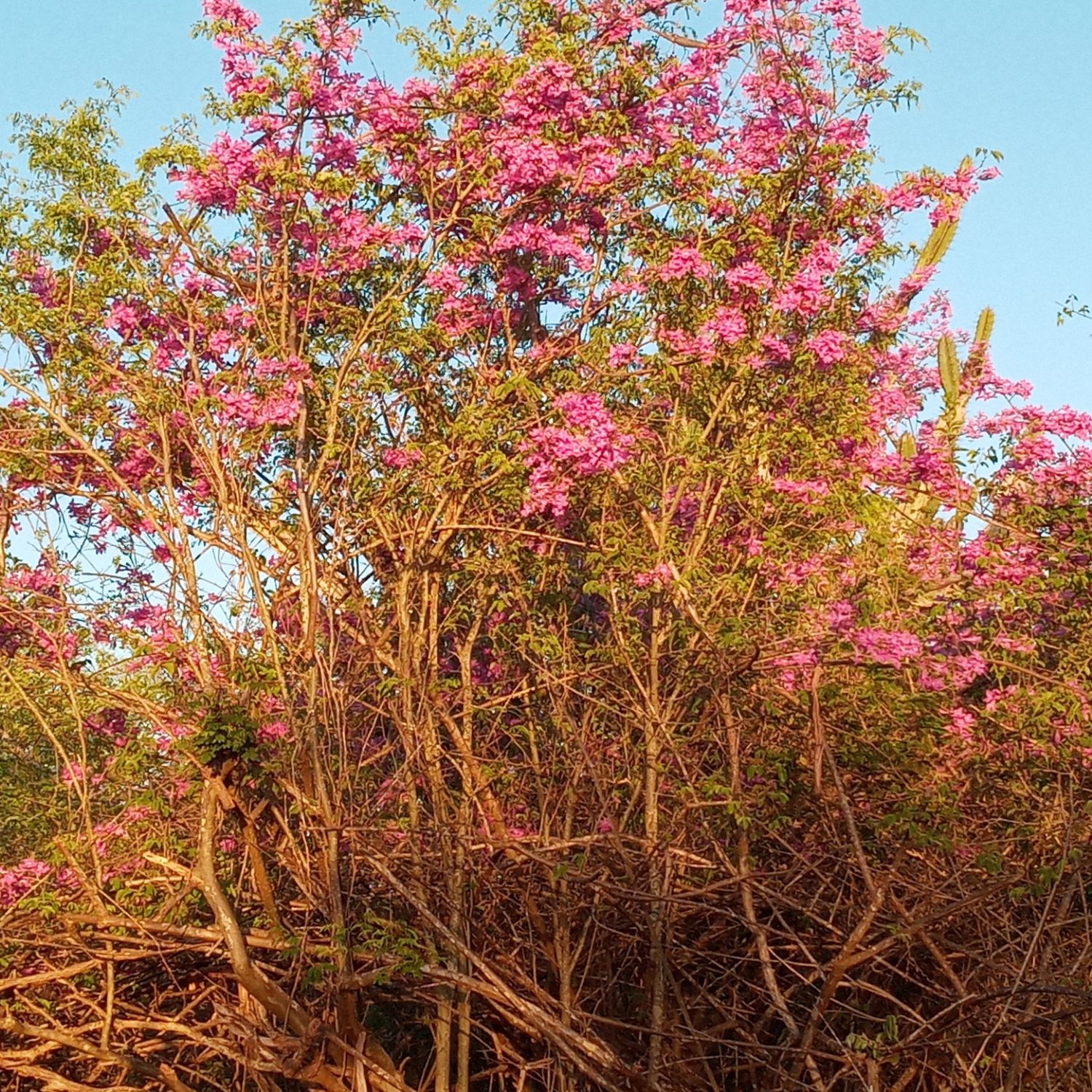몬스타엑스 팬이 찍은 순간
