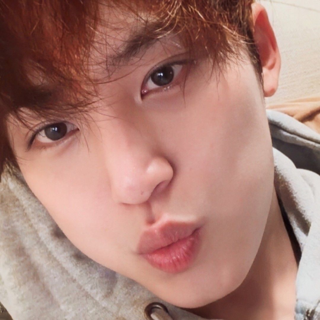 세븐틴 최근 활동샷