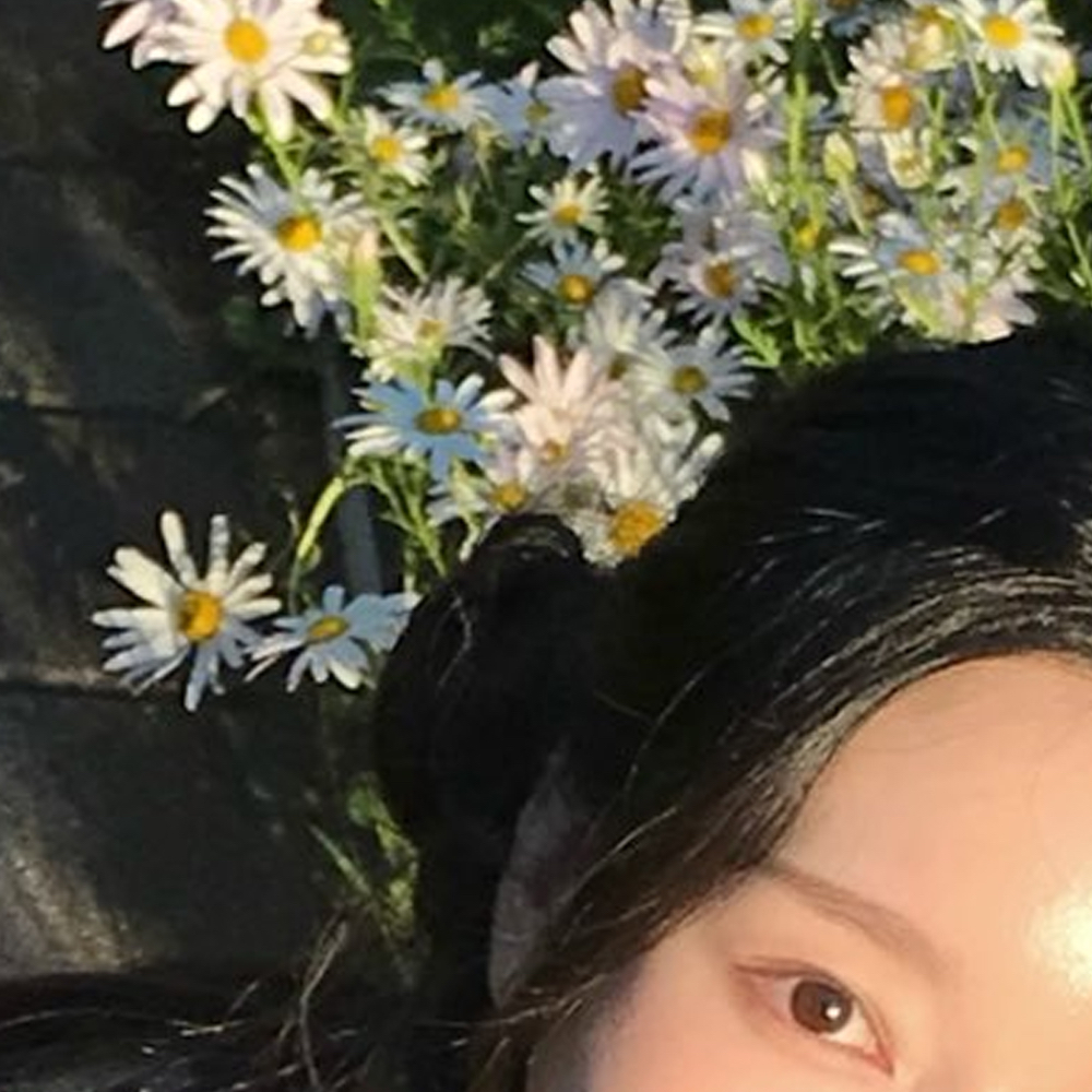 A moment captured by Go Won (Loossemble)'s fan