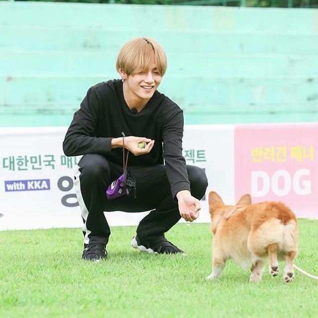 V (防彈少年團)的最新照片