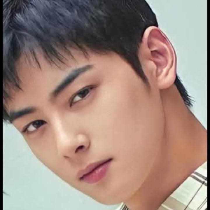 A moment captured by Eunwoo (ASTRO)'s fan