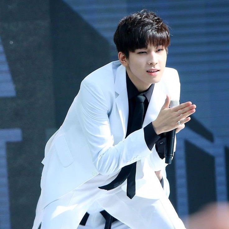 A moment captured by Wonwoo (SEVENTEEN)'s fan