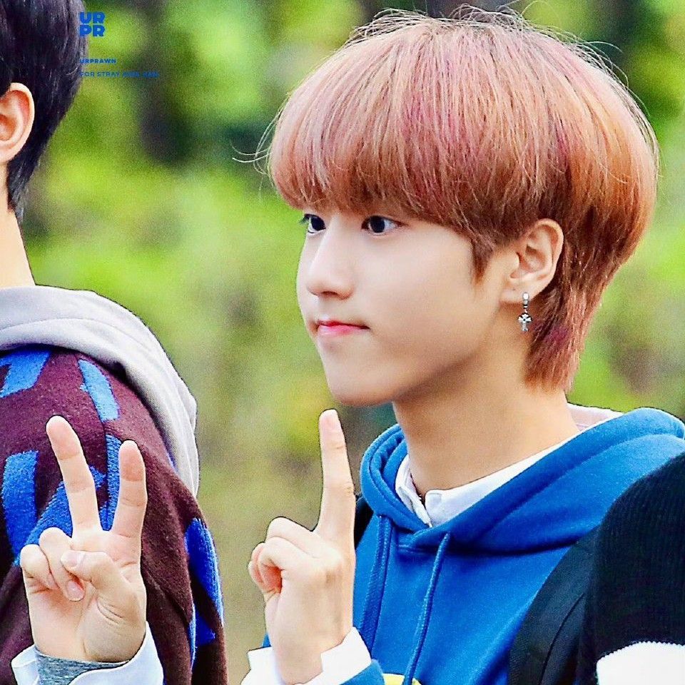 Recent activity shot of HAN (Stray Kids)