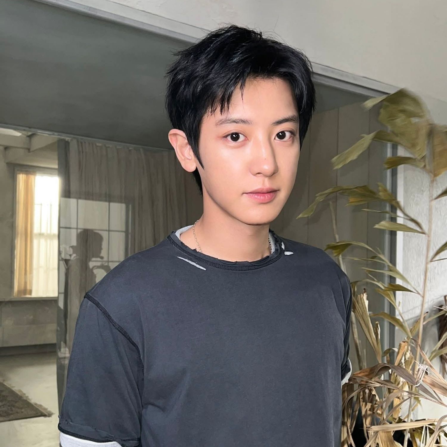 燦烈 (EXO)的最新照片