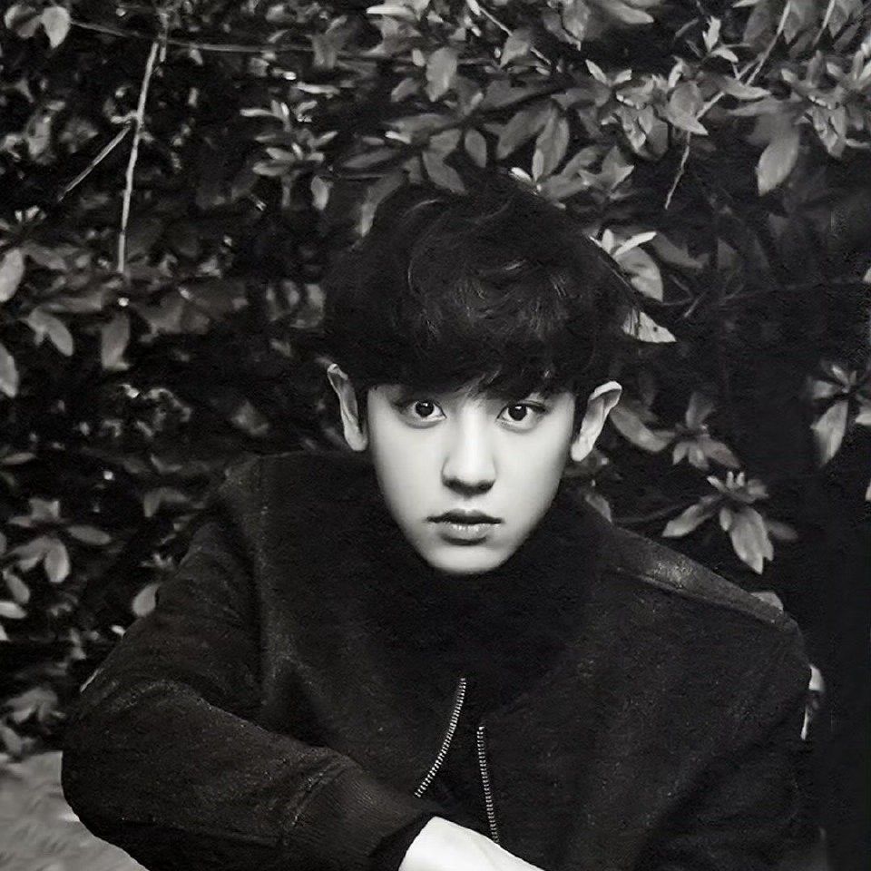 Behind-the-scenes cut of Chanyeol (EXO)