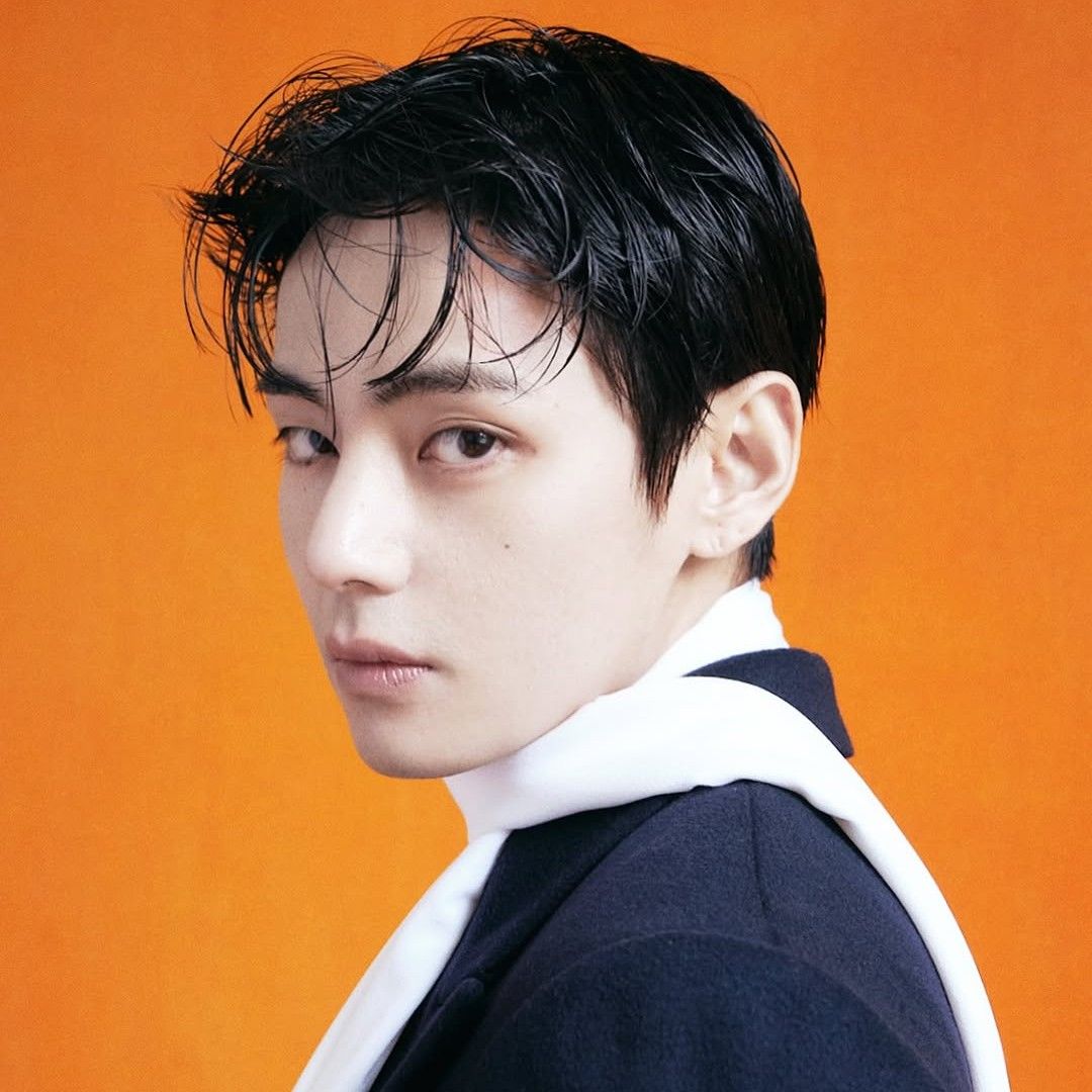 뷔 (방탄소년단) 팬이 찍은 순간