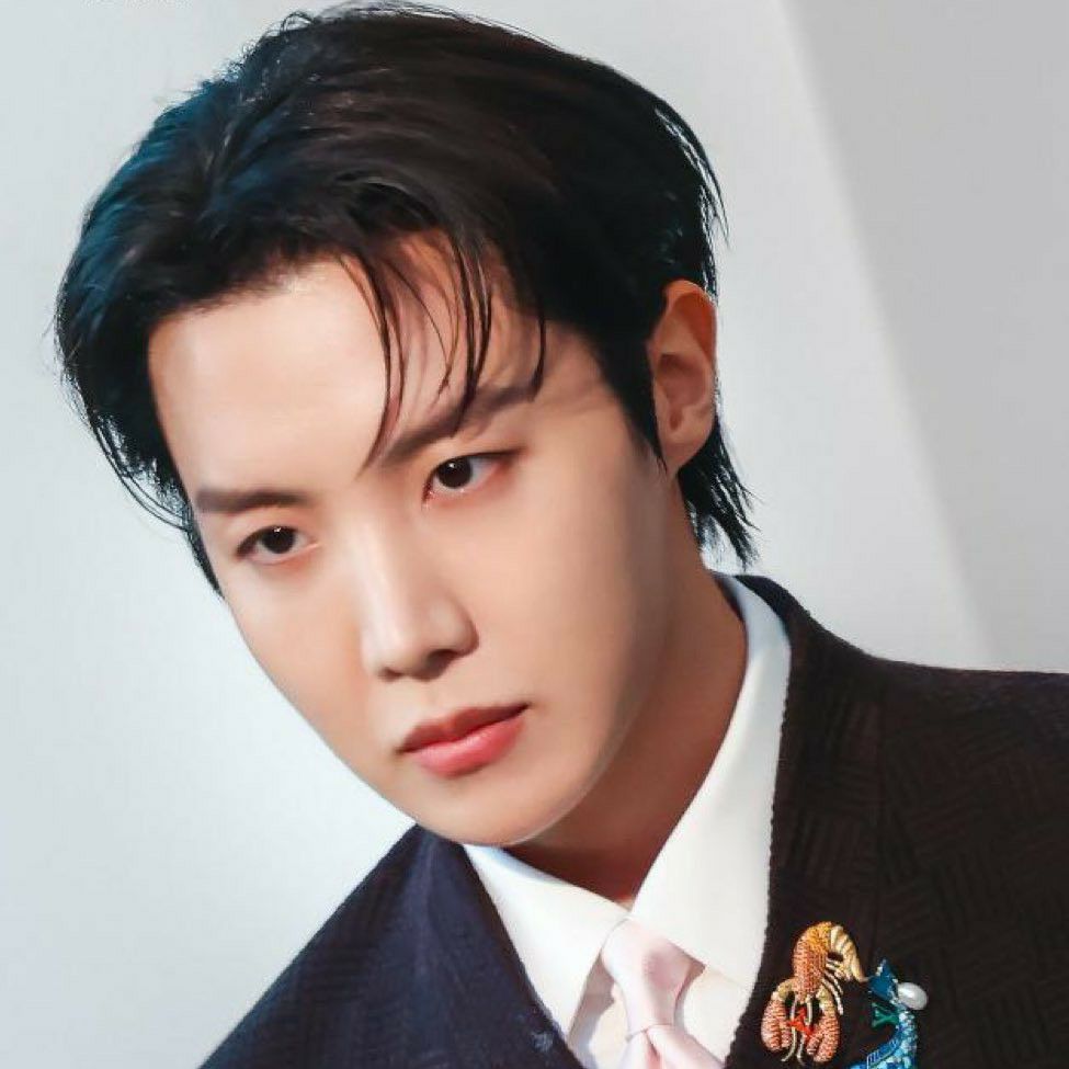 제이홉 (방탄소년단) 팬이 찍은 순간