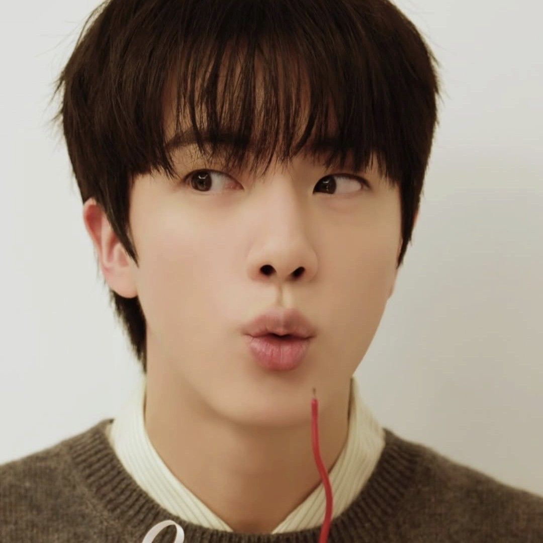 진 (방탄소년단) 팬이 찍은 순간