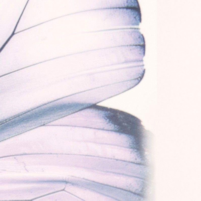 Latest photo of Taeyeon (Girls' Generation)