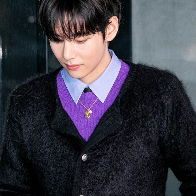 Behind-the-scenes cut of V (BTS)