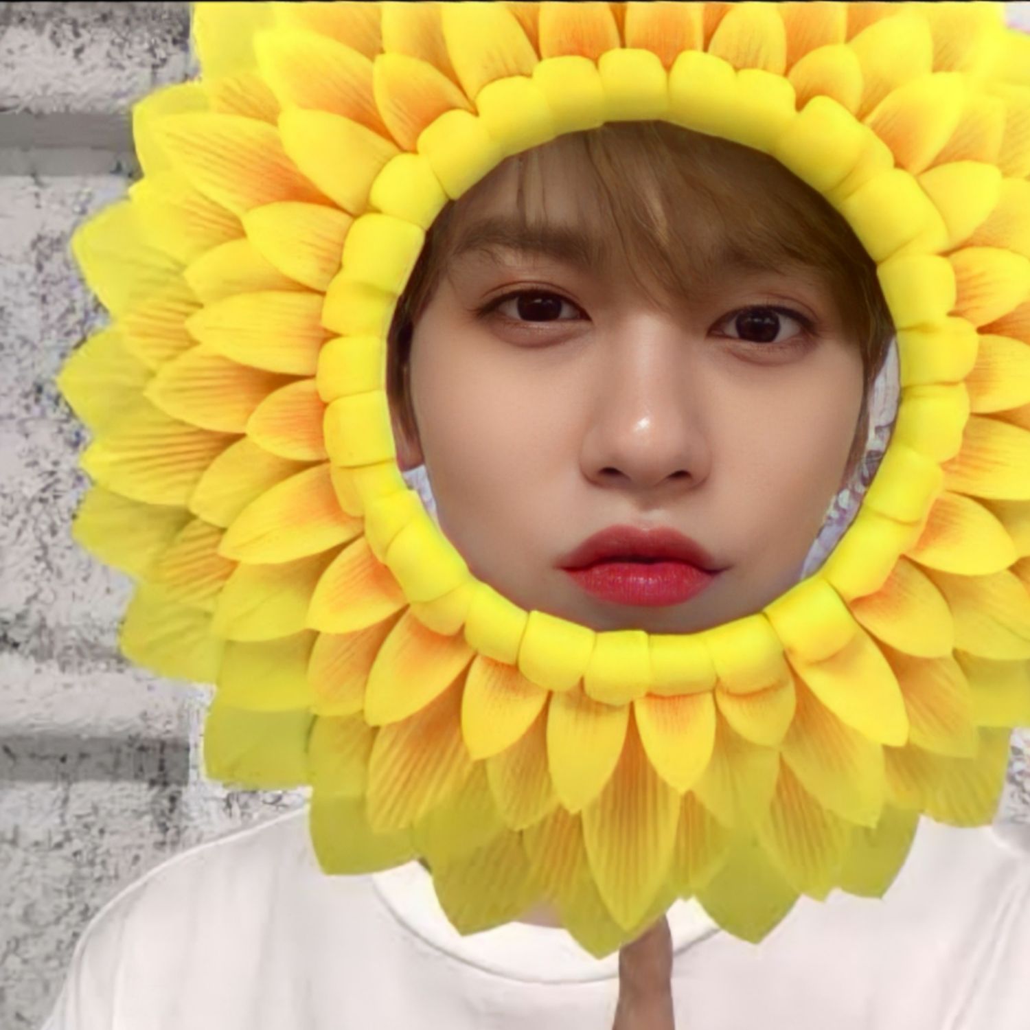 A moment captured by Keonhee (ONEUS)'s fan