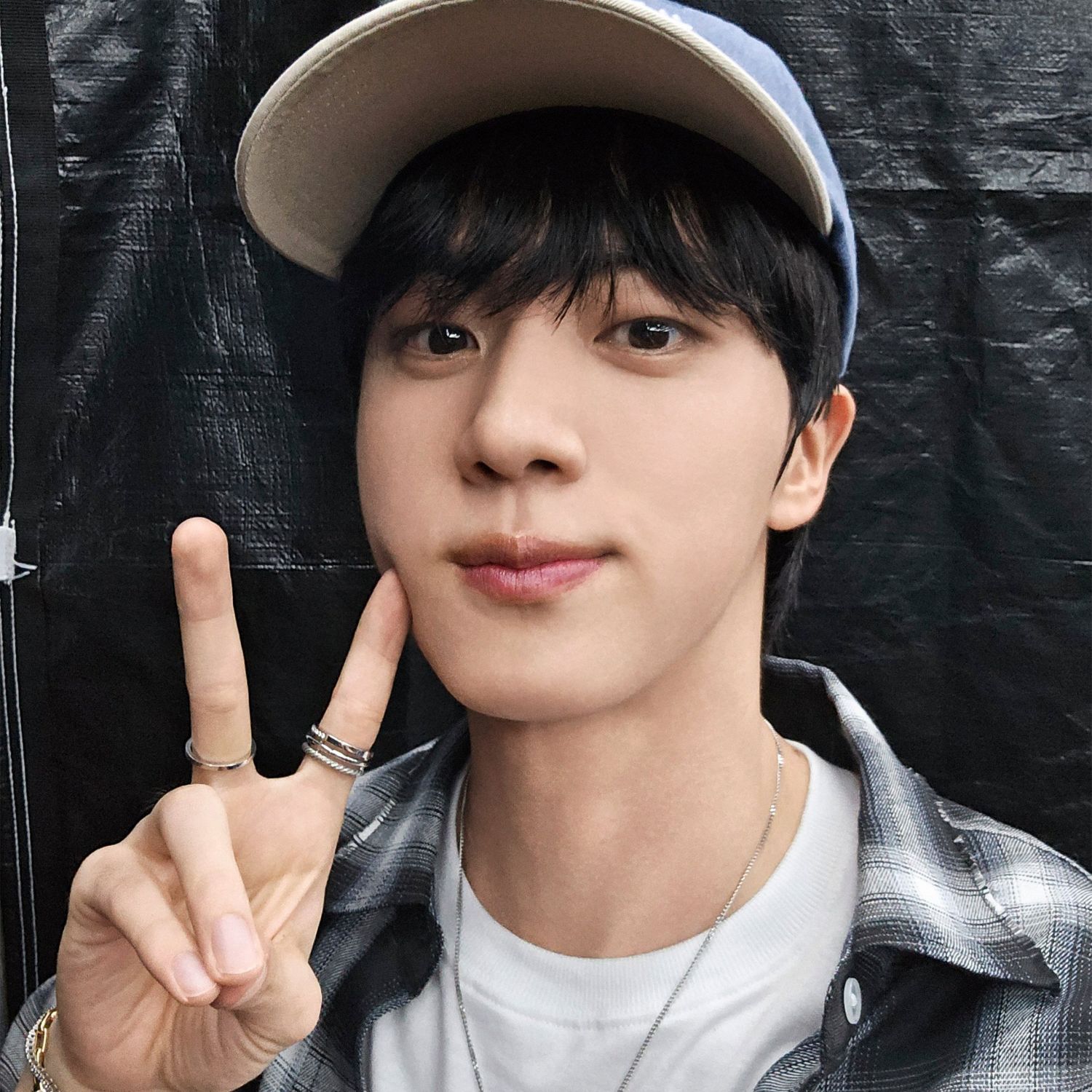 A moment captured by Jin (BTS)'s fan