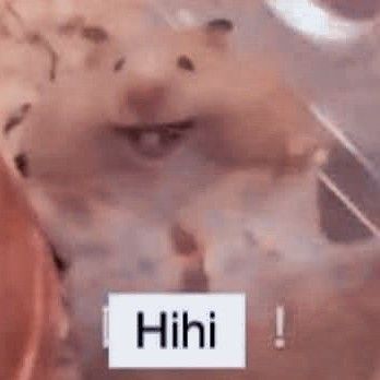 羲承 (ENHYPEN)的最新活動照片