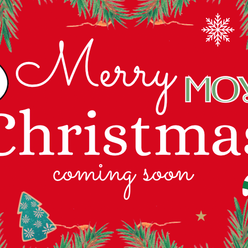 토모야 (NEXZ) 팬이 찍은 순간