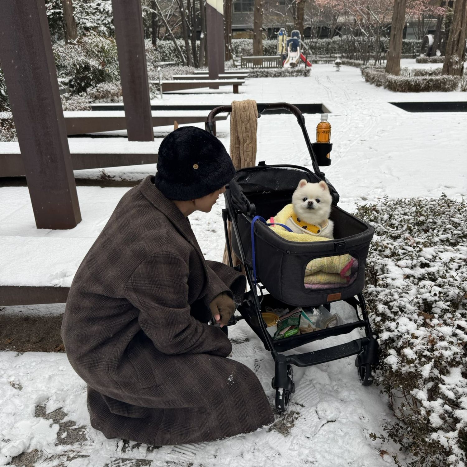 Super Junior的最新照片