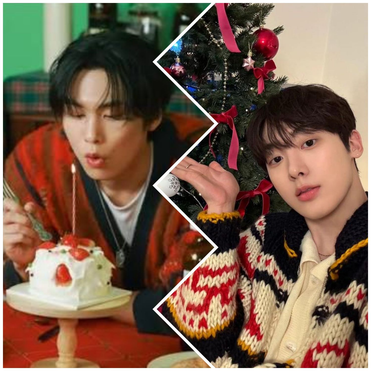 Recent activity shot of Rocky