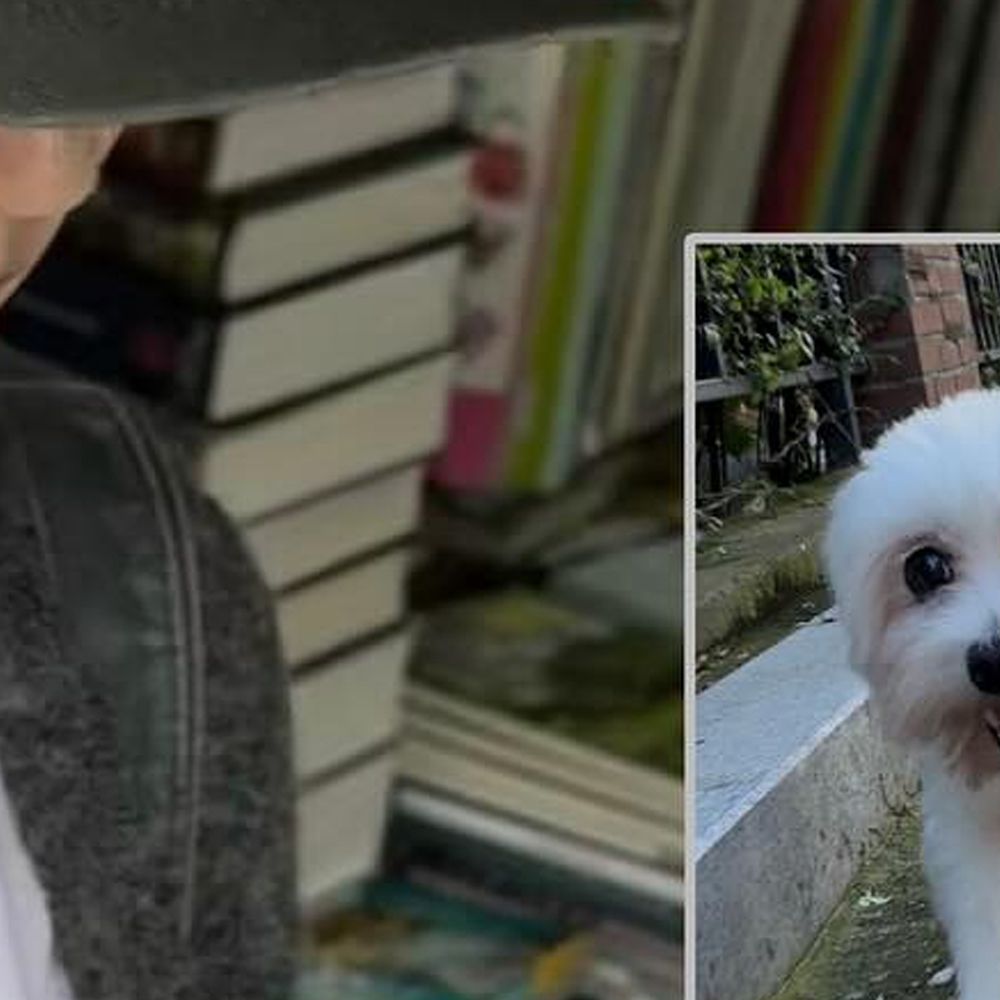 Latest photo of Go Won (Loossemble)