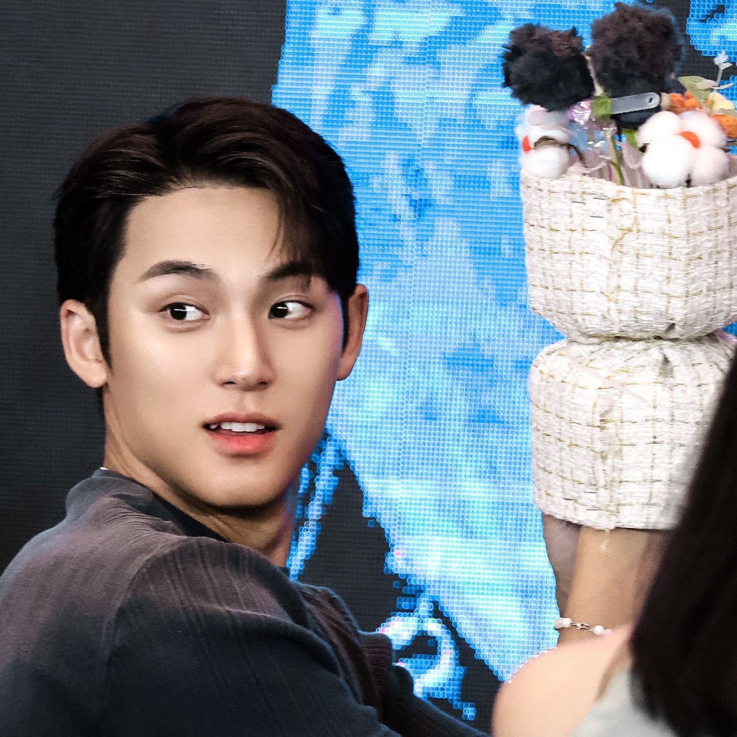 Behind-the-scenes cut of Mingyu (SEVENTEEN)