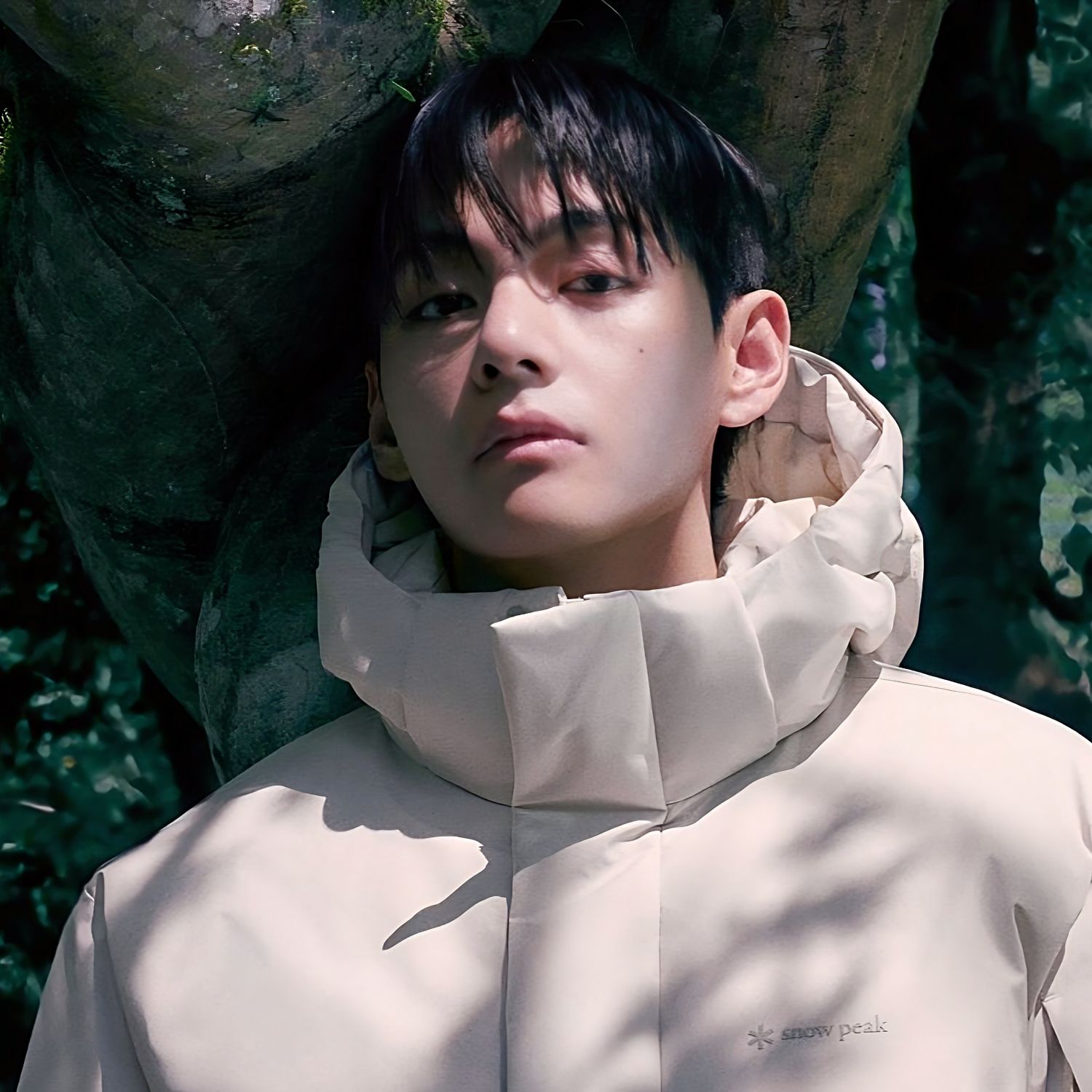 V (防弹少年团)的最新照片