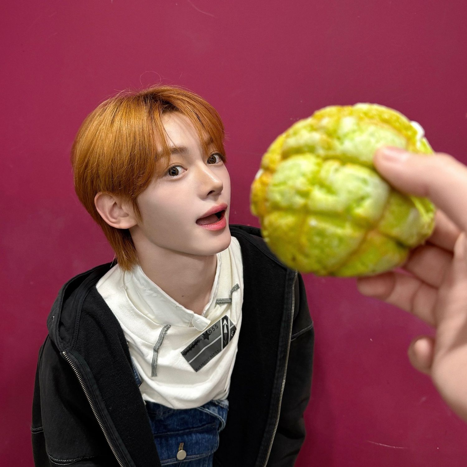 韓振 (TWS)的幕後花絮