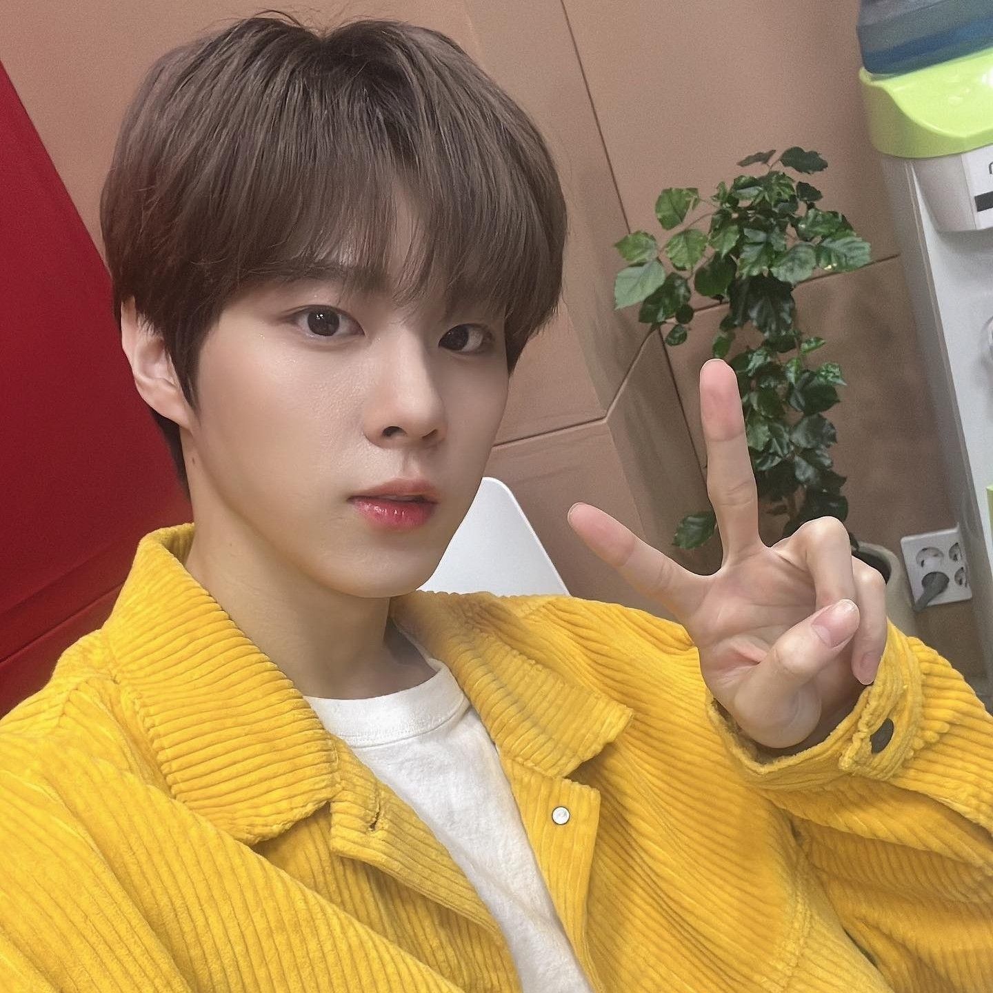 김우석의 최신 사진