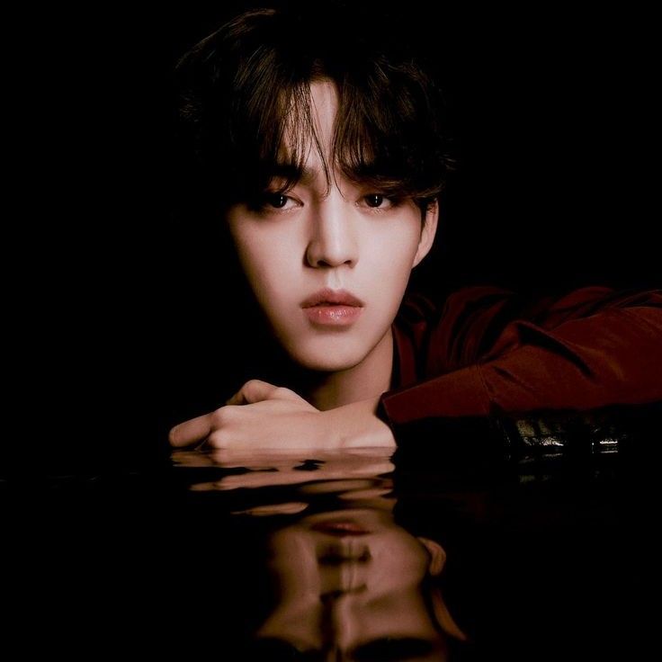 A moment captured by S.Coups (SEVENTEEN)'s fan