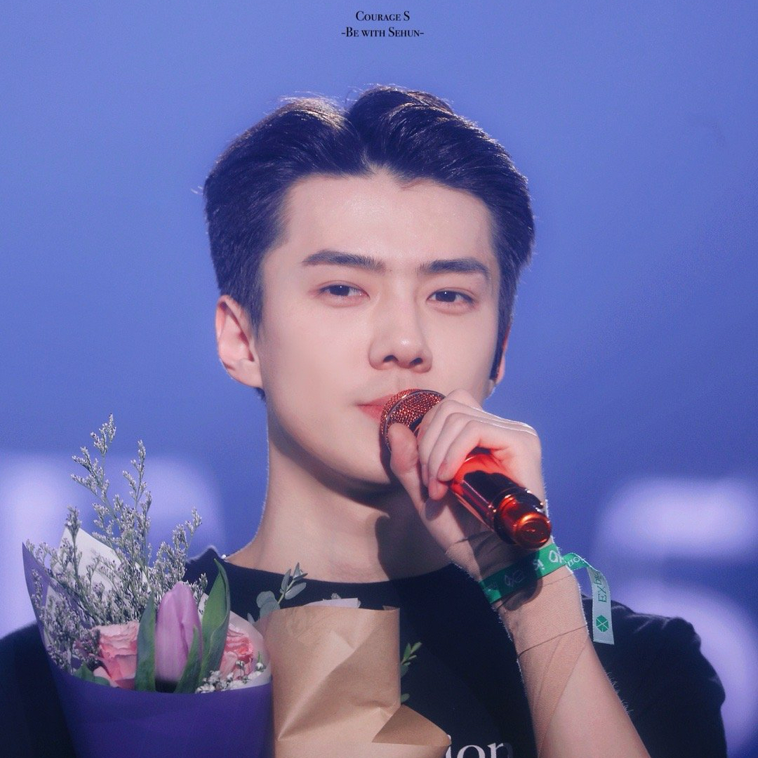 세훈 (EXO) 최근 활동샷