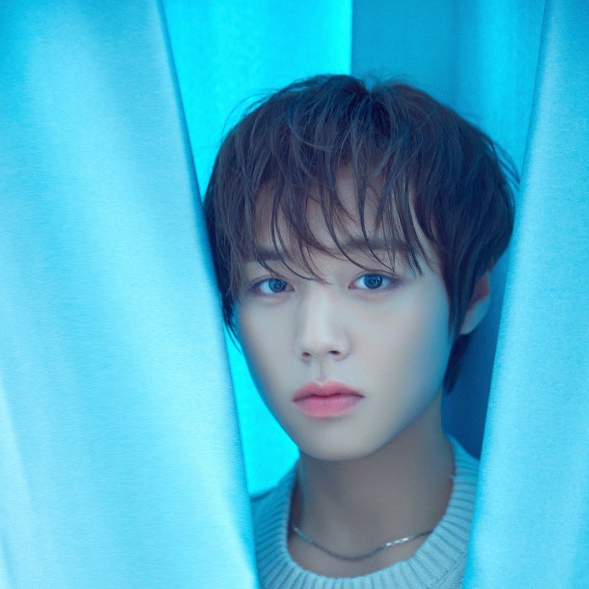 박지훈 팬이 찍은 순간