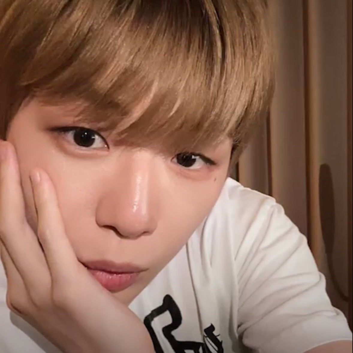 Recent activity shot of Kang Daniel