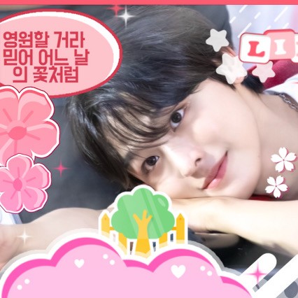 Popular profile picture of Riku (NCT WISH) loved by fans