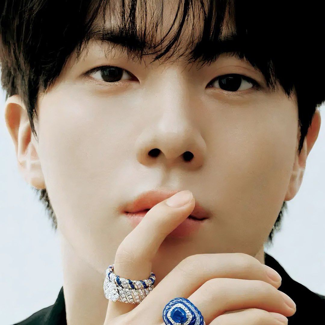 Momen yang diabadikan oleh penggemar Jin (BTS)