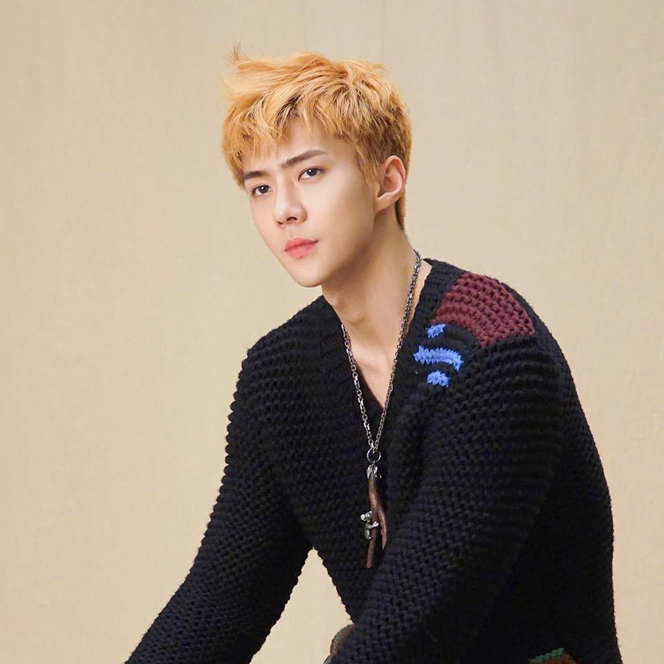 Potret di balik layar Sehun (EXO)