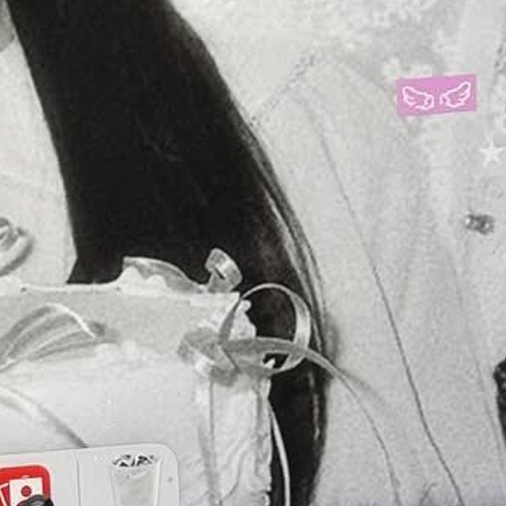 Behind-the-scenes cut of Go Won (Loossemble)