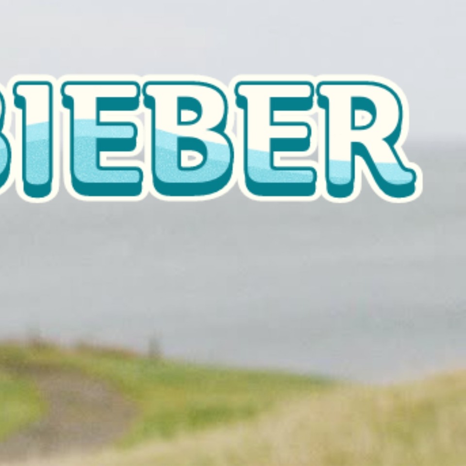 Recent activity shot of Justin Bieber