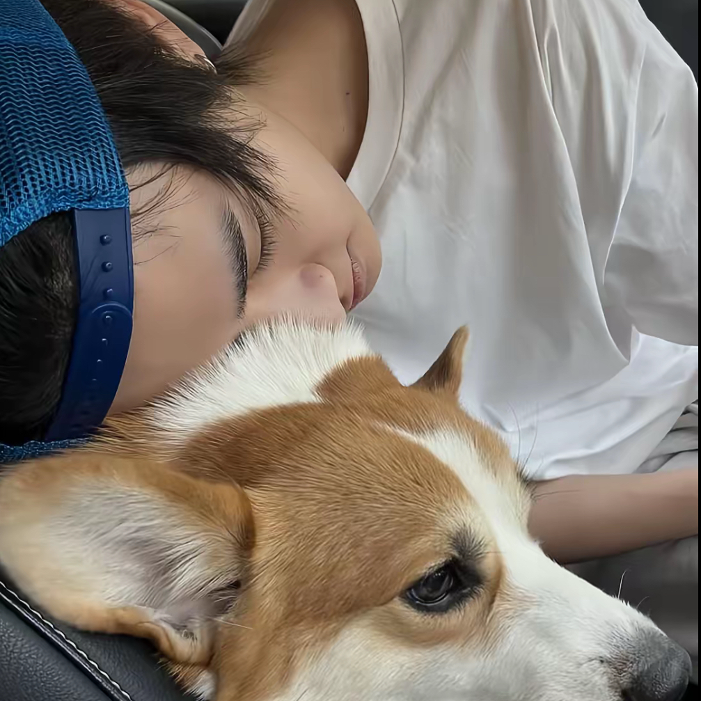 Thai (BUS)の最近の活動写真
