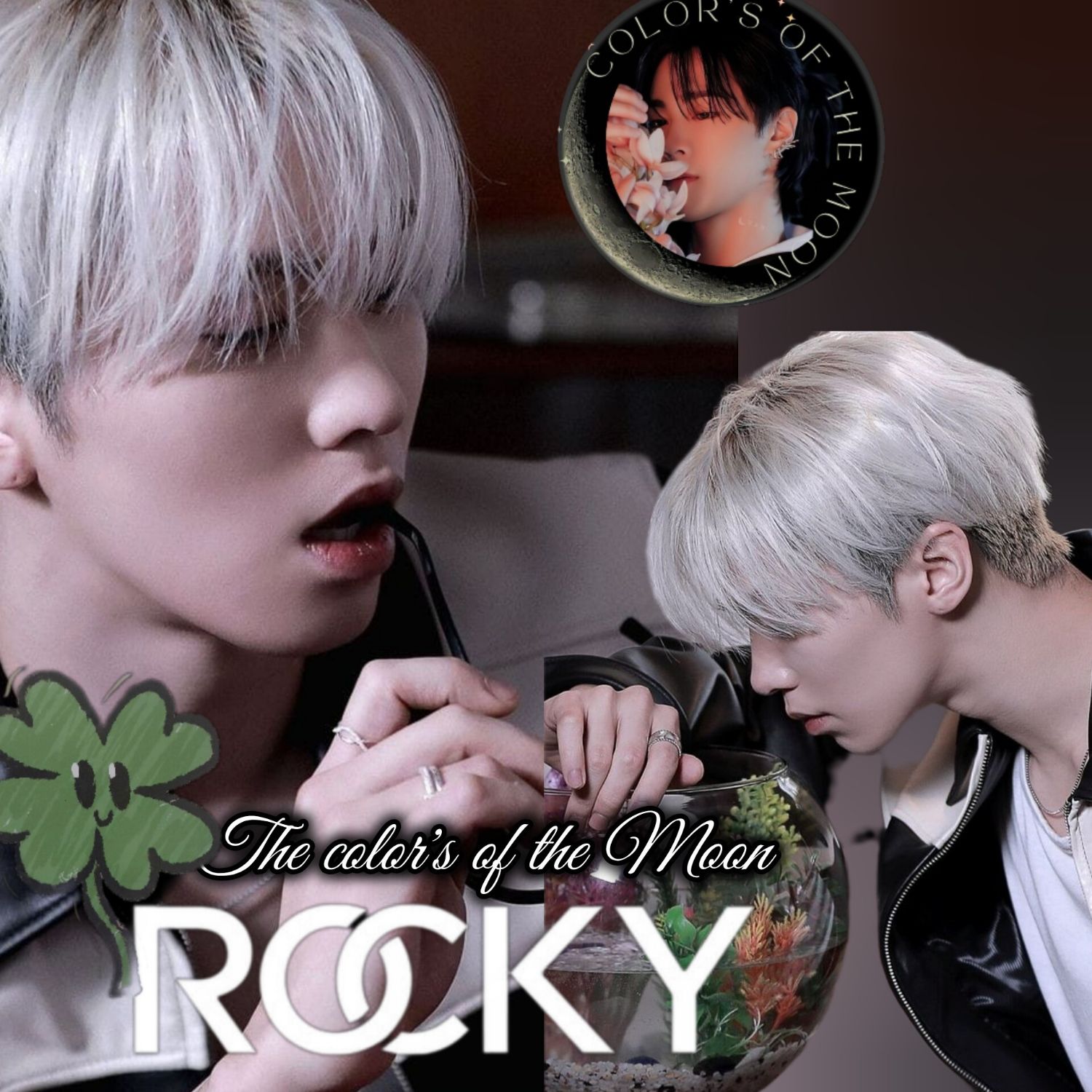 Recent activity shot of Rocky