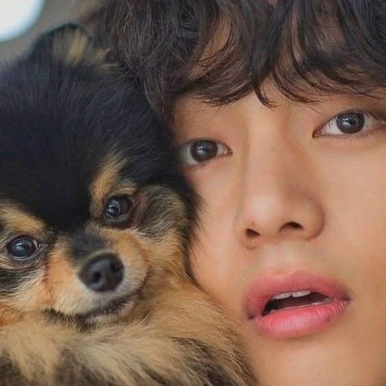 Latest photo of V (BTS)