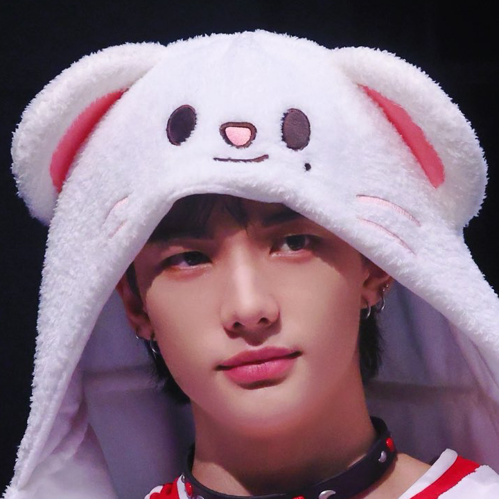 A moment captured by Hyunjin (Stray Kids)'s fan