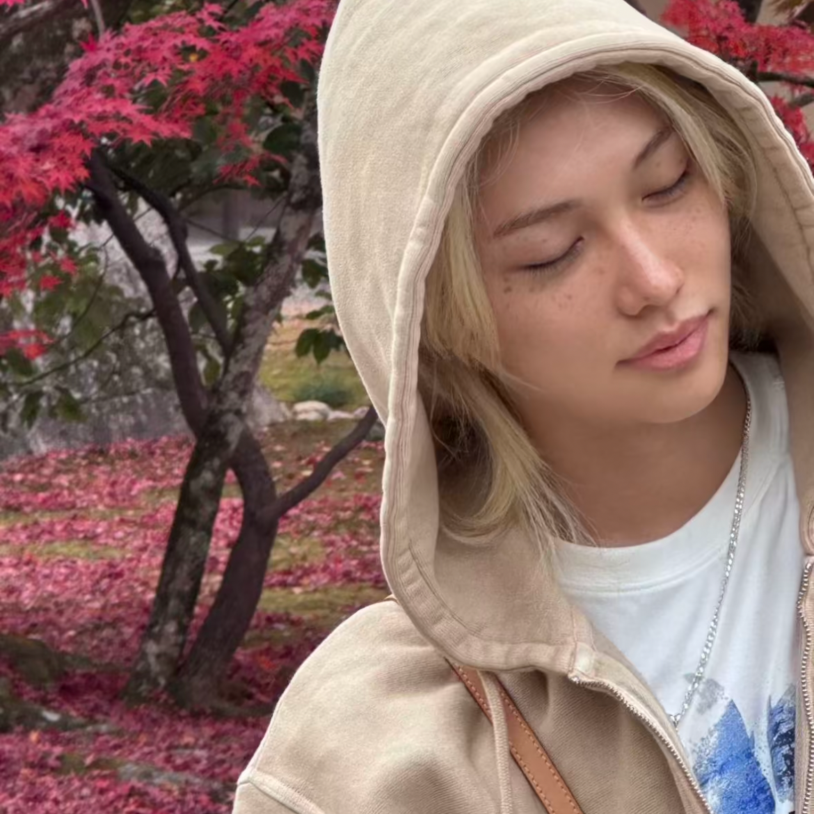 Recent activity shot of Felix (Stray Kids)