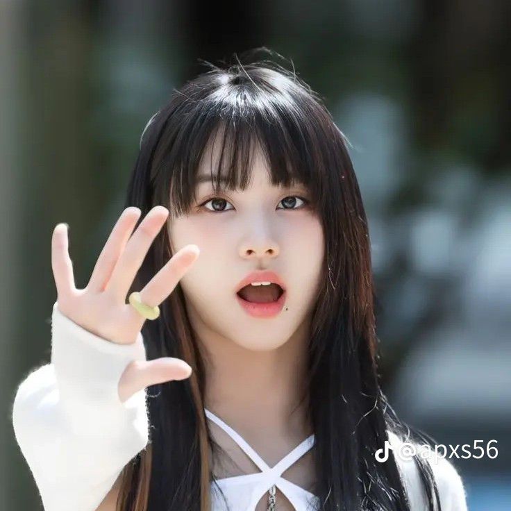 TWICE 최근 활동샷